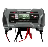 SPI25 PRO 12/24V-25/12,5A Multifunksjons Lader strømforsyning
