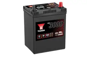 YBX3009 (12V 30Ah)