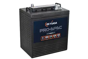DCB145-6(DT) (6V 260Ah)