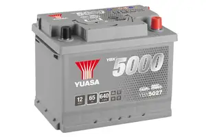YBX5027 (12V 65Ah)