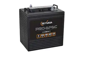DCB105-6(ET) (6V 225Ah)