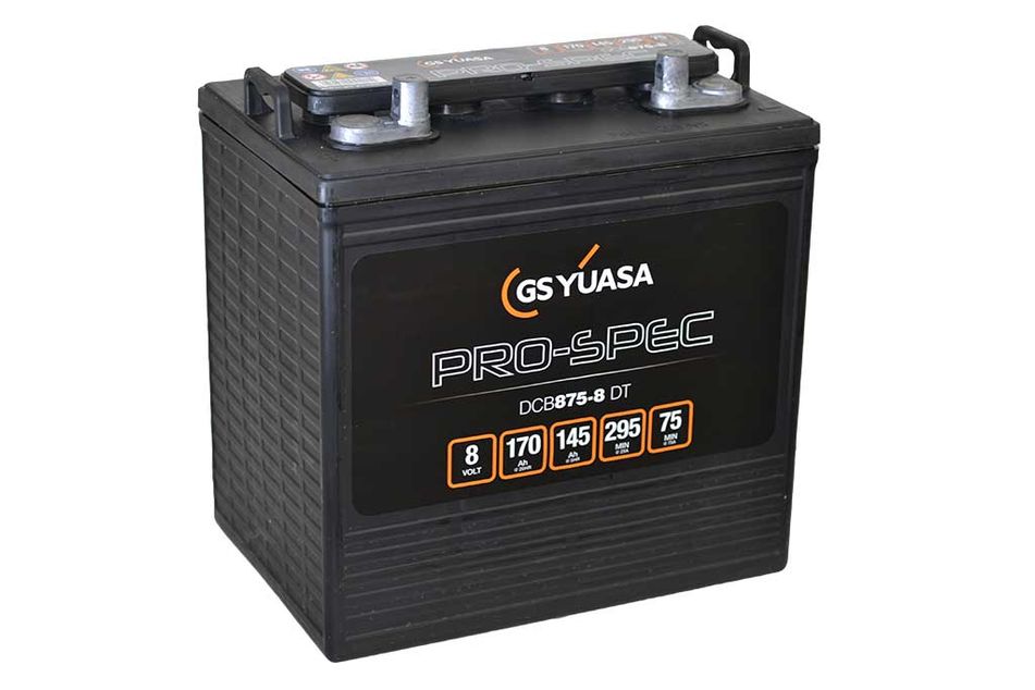 DCB875-8(DT) (8V 170Ah)