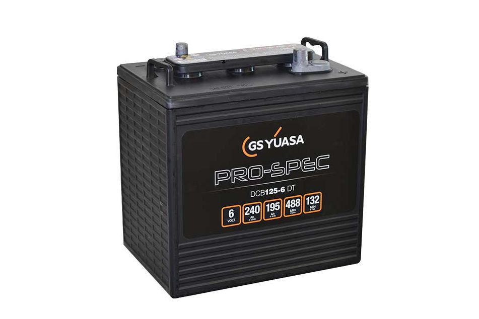 DCB125-6(DT) (6V 240Ah)