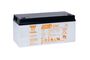 SWL+2250 (12V-2250Watt)